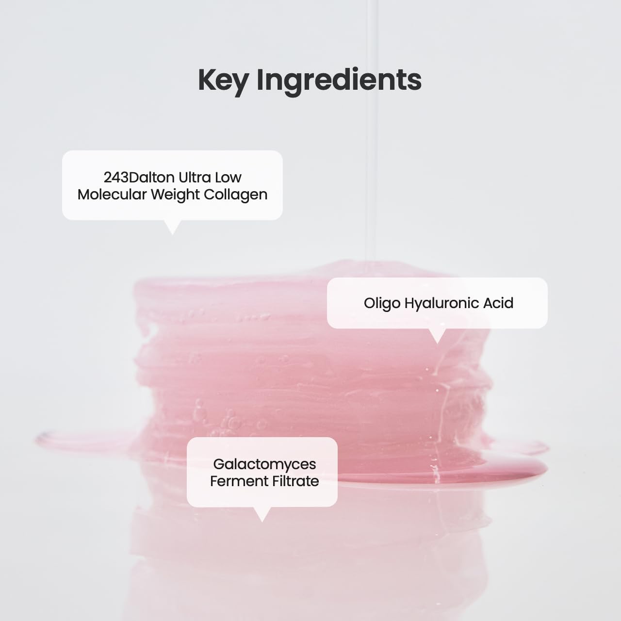 Biodance Collagen Gel Toner Pads 60 Pads
