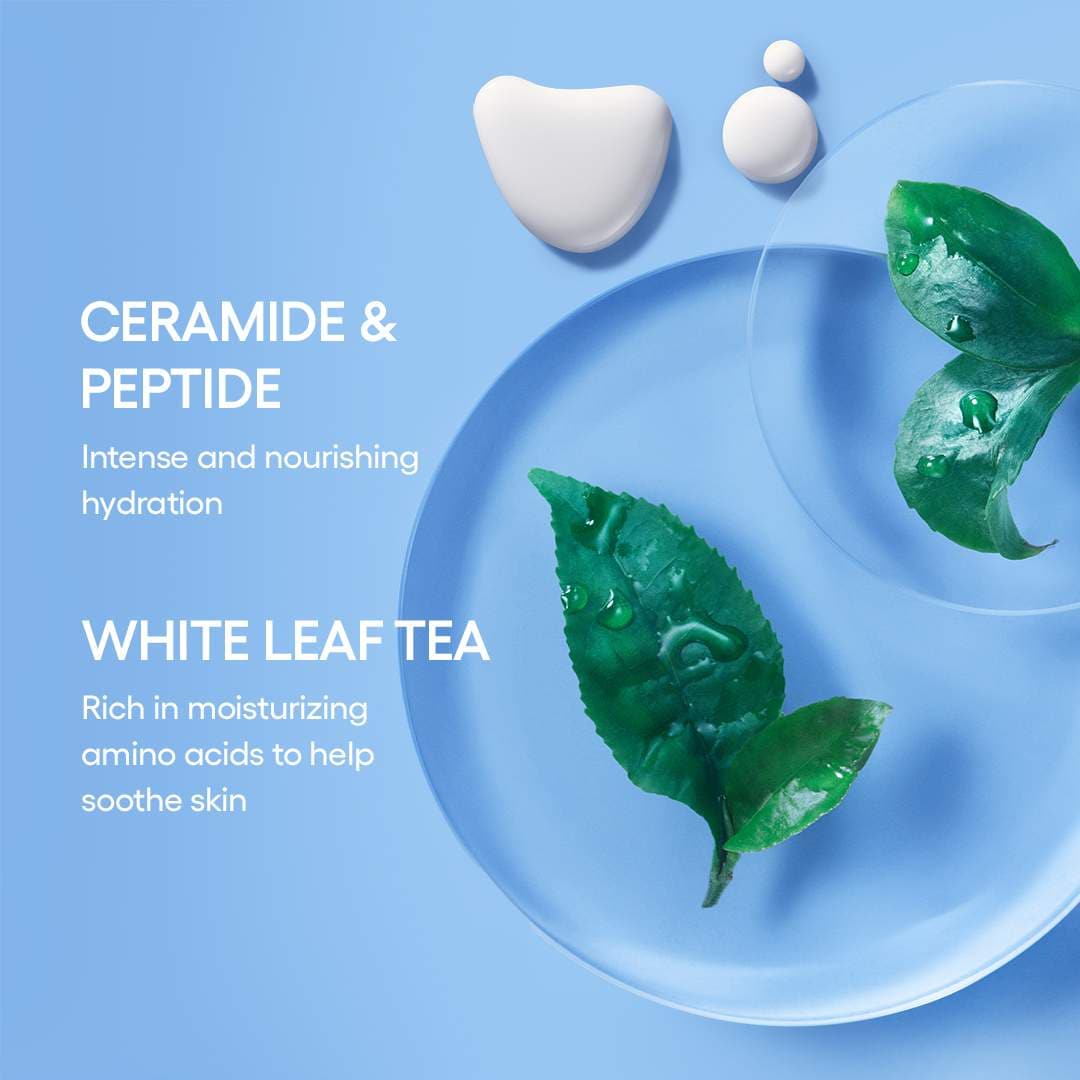 Laneige Cream Skin Cerapeptide Toner & Moisturizing 170Ml