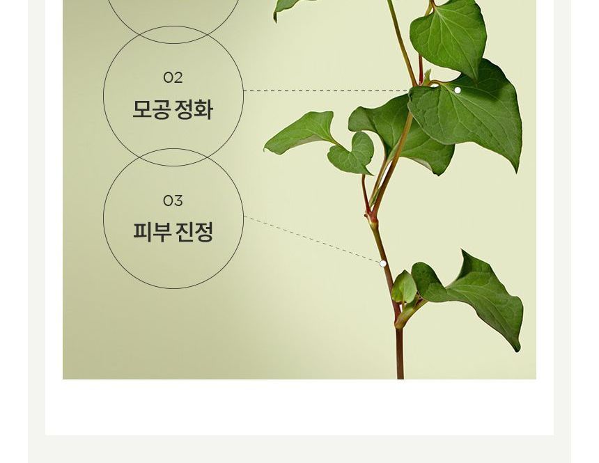 Anua Heartleaf Pore Clay Mask 100Ml