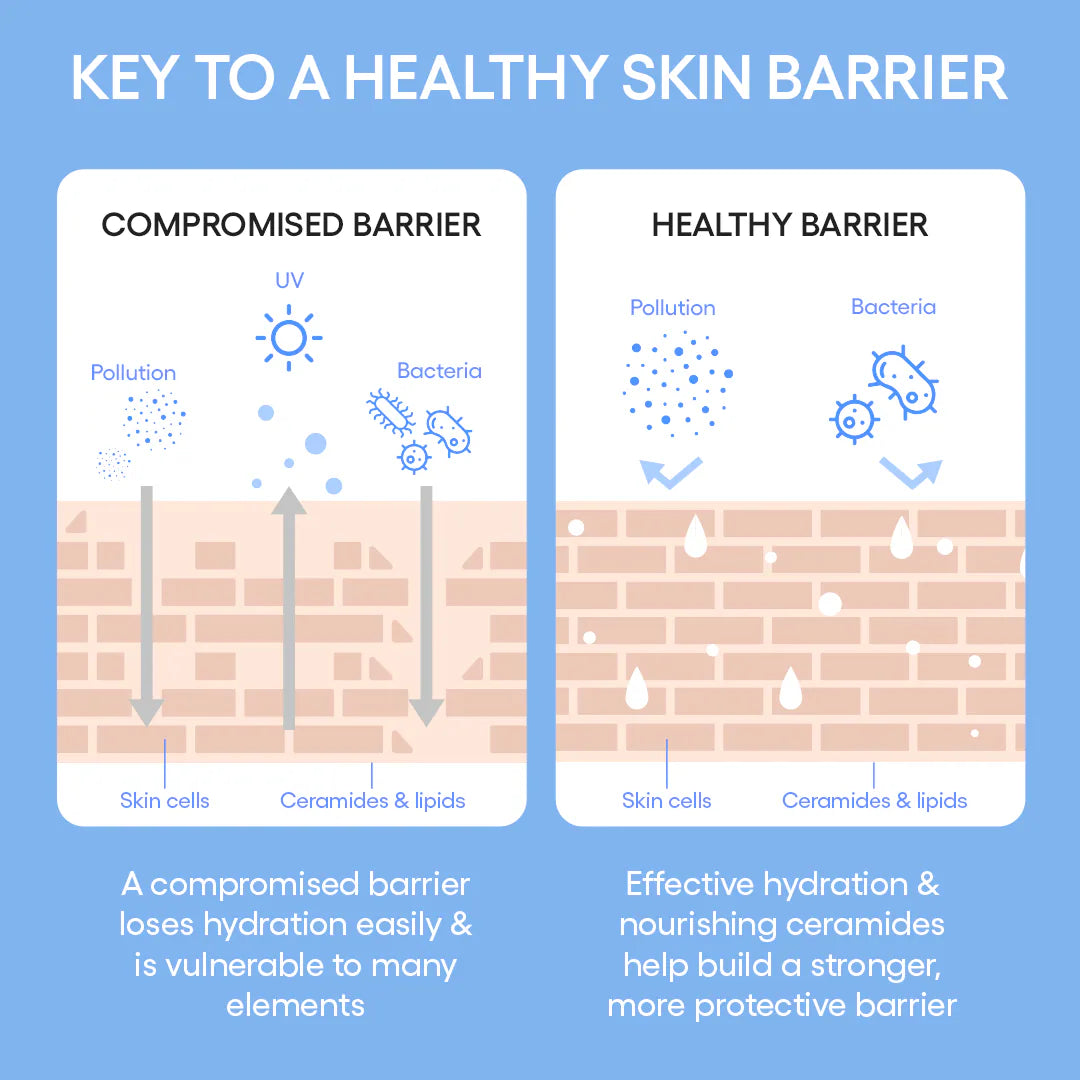 Laneige Cream Skin Cerapeptide Toner & Moisturizing 170Ml